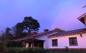 Cruz del Sur